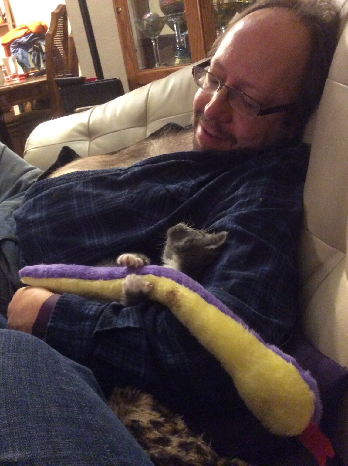 20151026_034136590_iOS